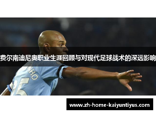 费尔南迪尼奥职业生涯回顾与对现代足球战术的深远影响